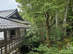 -三千院