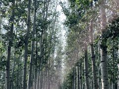 -马家湾湿地公园