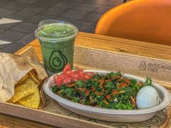 -油梨树 AVOCADO TREE(亮马桥店)
