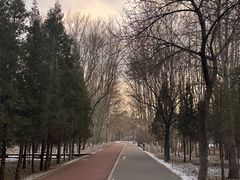 -阿尔丁植物园