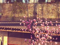 iphone_upload_pic-证大大拇指广场(芳甸路店)