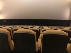 -纵横国际影城杜比全景声巨幕(天安云谷店)