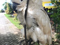 -班达海鲜餐厅