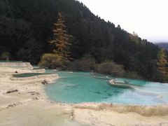 -黄龙山原始森林景区