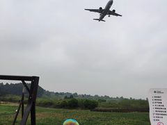 -空港花田景区