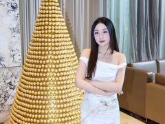 -上海漕河泾万丽酒店