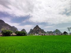 -明仕田园
