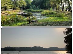 -东湖落雁景区