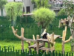 -沈阳森林动物园