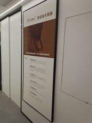 -熙朵美学植发·连锁品牌