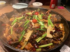 -老板恋上鱼(印象城店)