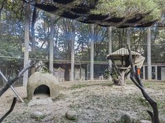 -上海野生动物园