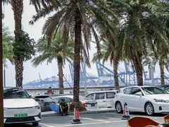 -新金盛·海鲜酒楼(盐田店)