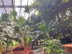 -呀路古热带植物园