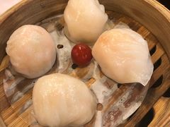 金牌虾饺皇-点都德(大茶楼店)