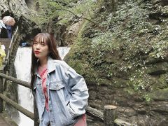 -牛背梁国家森林公园