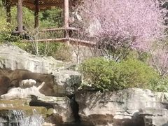 -鹅岭公园瞰胜楼