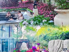 -陆地游轮西山温泉号