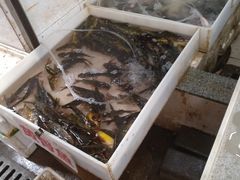 -江汉区姑嫂树菜市场