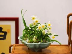 -共青国家森林公园-售票处