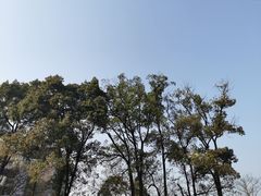 -南山植物园