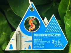 -WFC会仙楼观景台