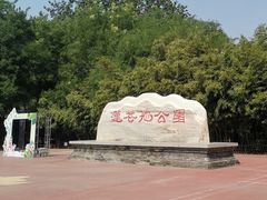-莲花池公园