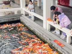 -番禺宾馆丽苑厅