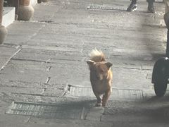 -丝绸小镇荻港古村