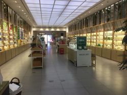 -悦诗风吟innisfree