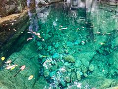 -祁门牯牛降观音堂风景区