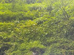 -野三坡百里峡景区