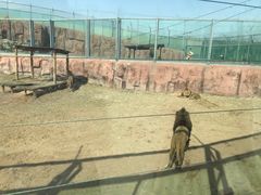 -鄂尔多斯野生动物园