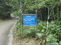 -天鹿湖森林公园