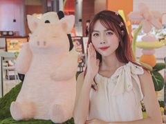 -岭南站NOVA