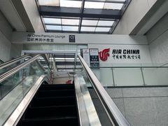 -虹桥机场国航贵宾室v8