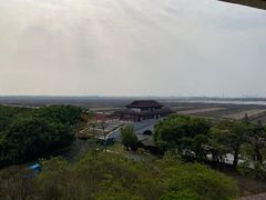 -大湾区中央湿地公园