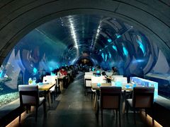 -海棠湾洲际-涛·海底餐厅·美人鱼·自助餐·海底隧道