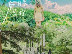 -美的鹭湖森林度假区