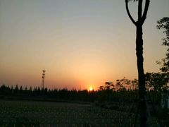 -上海长兴岛郊野公园