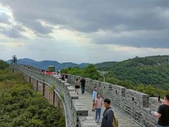 -黄贤森林公园