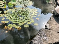 -文瀛公园