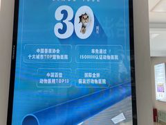 -北京观赏动物医院·24小时大型综合·猫专科·异宠专科