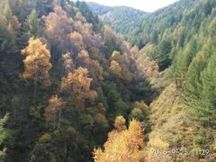 -苏木山森林公园
