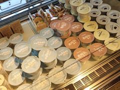 -可莎蜜兒(学林街店)