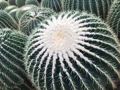 -南山植物园