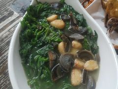 -石岐乳鸽村(桥观坊南四巷店)