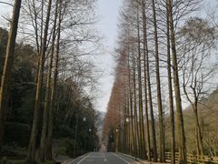 -青城山