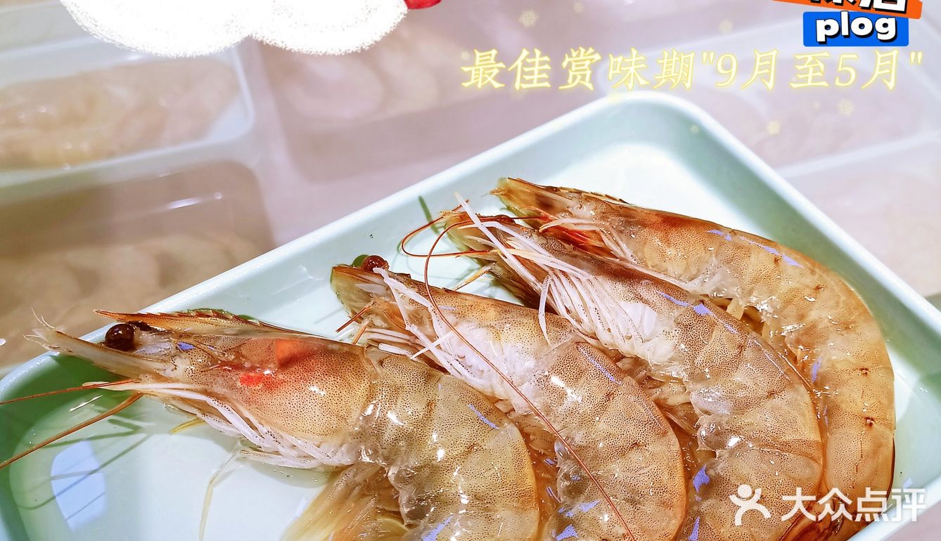 三人同行一人免单|[糖果]同价位生蚝天花板 新鲜饱满 产地空运