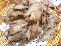 -老马家·舌尖上的西塘美食